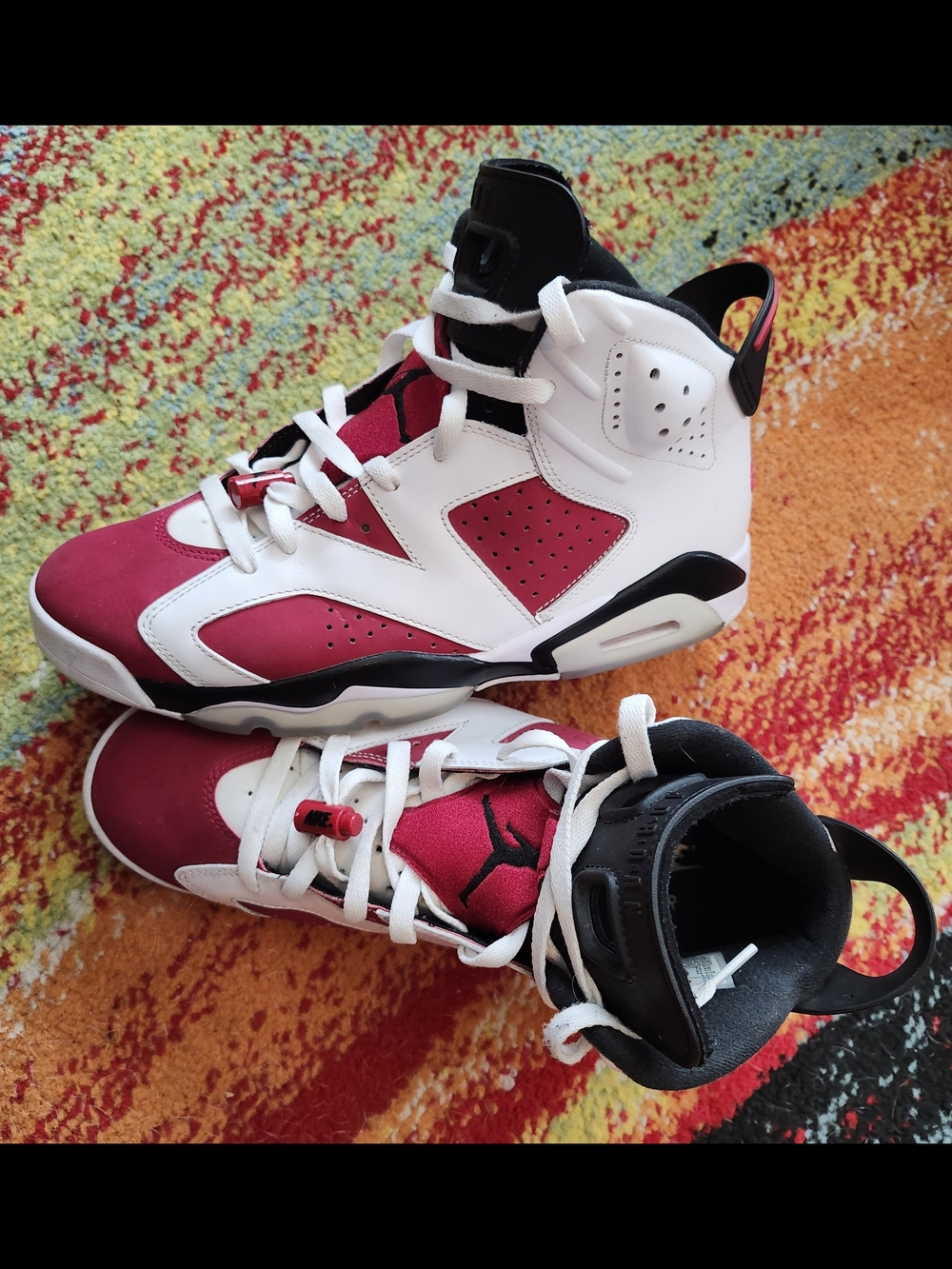 10M Iconic Air Jordan 6 Retro "Carmine"